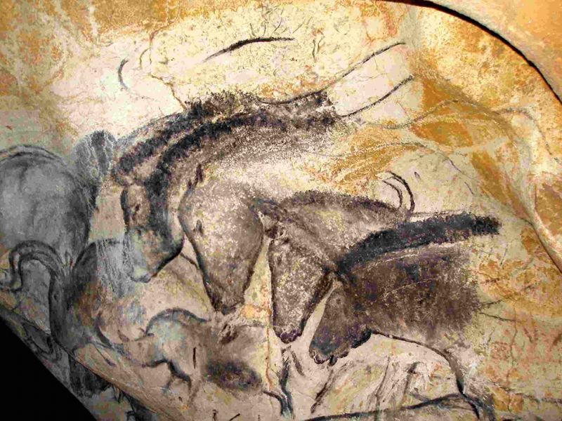 chevaux-chauvet